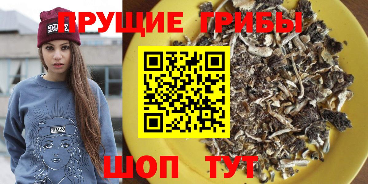 Галлюциногенные грибы прущие грибы Чехов